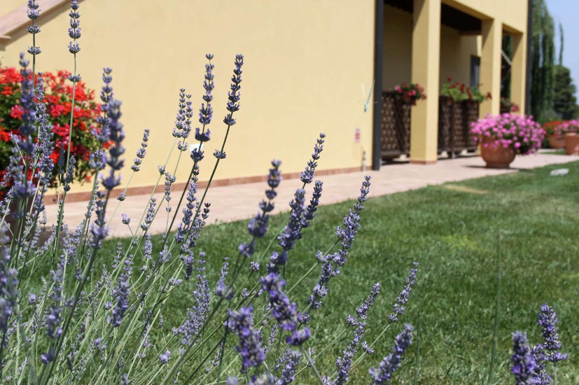Podere Tre Cipressi Aparthotel Campiglia Marittima Exterior photo