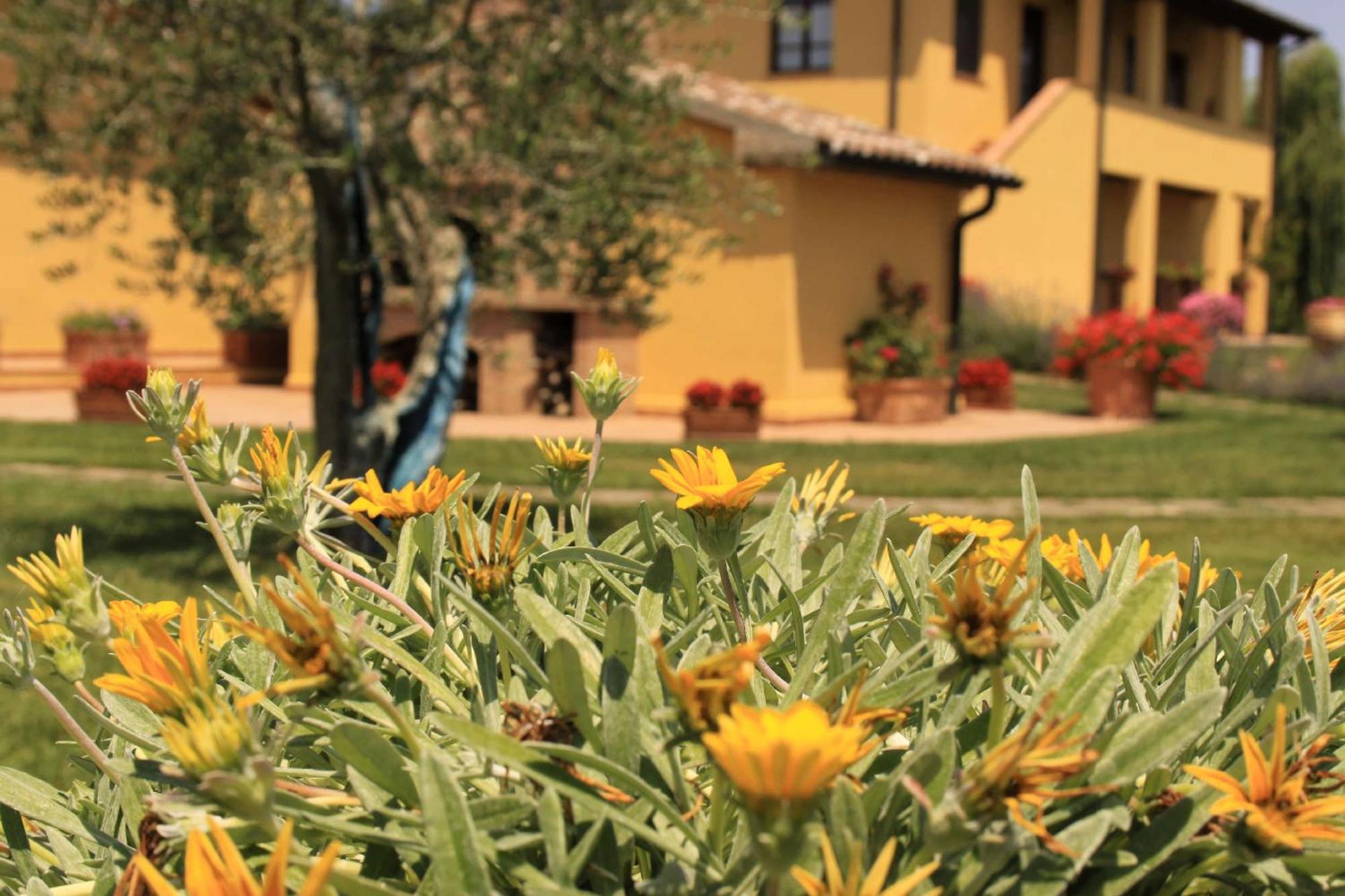 Podere Tre Cipressi Aparthotel Campiglia Marittima Exterior photo